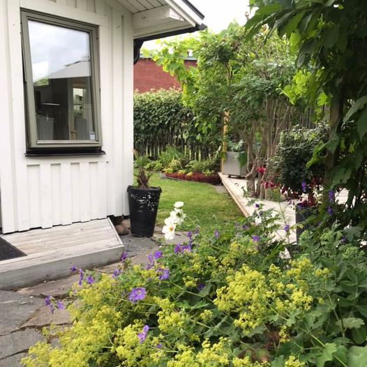 Stuga, 1 rooms, 12 sqm, Göteborg – bild 14