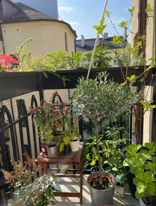 Lägenhet, 3 rooms, 66 sqm, Malmö – bild 10