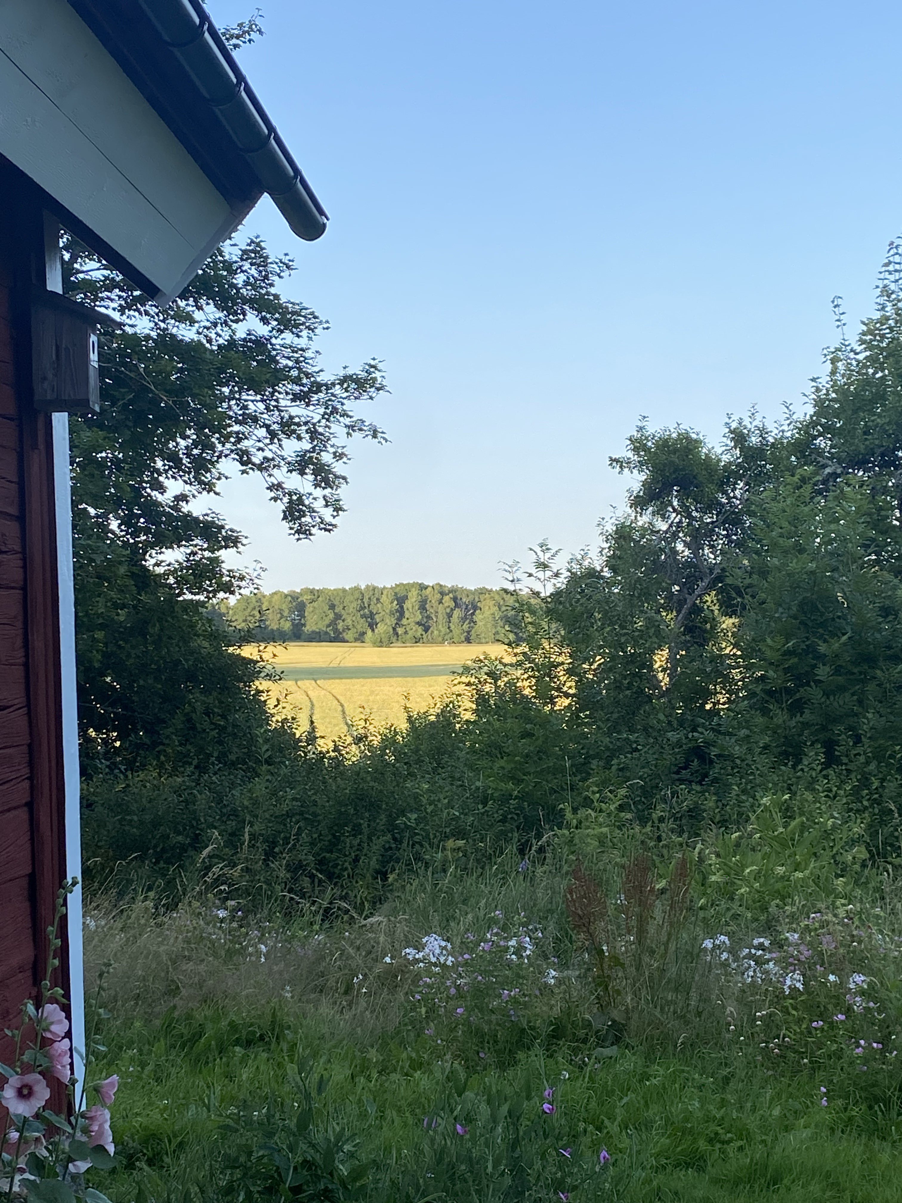 Villa/Hus, 2 rooms, 60 sqm, Mantorp – bild 21