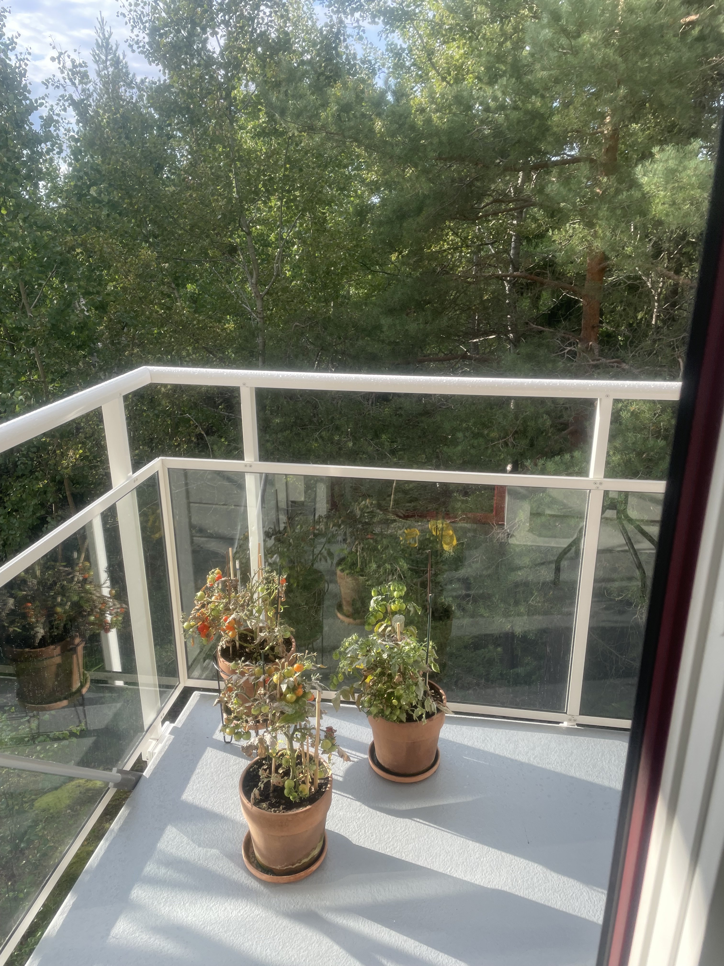 Lägenhet, 1 rooms, 32 sqm, Kista – bild 9