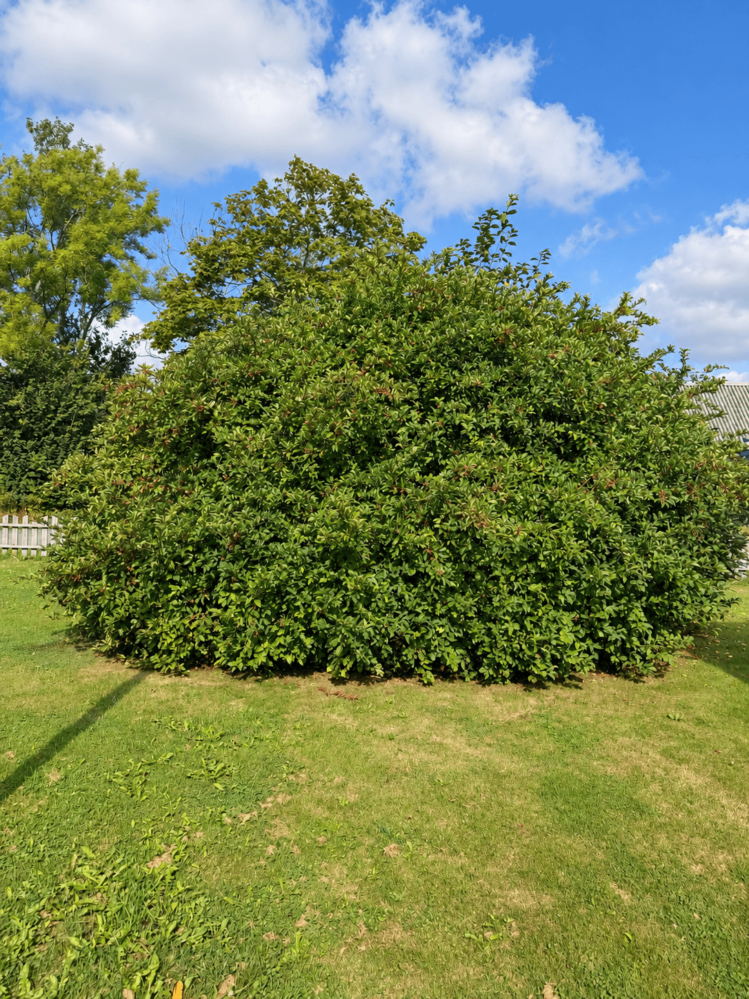 6 rok · 155 m² i Brastad – bild 3