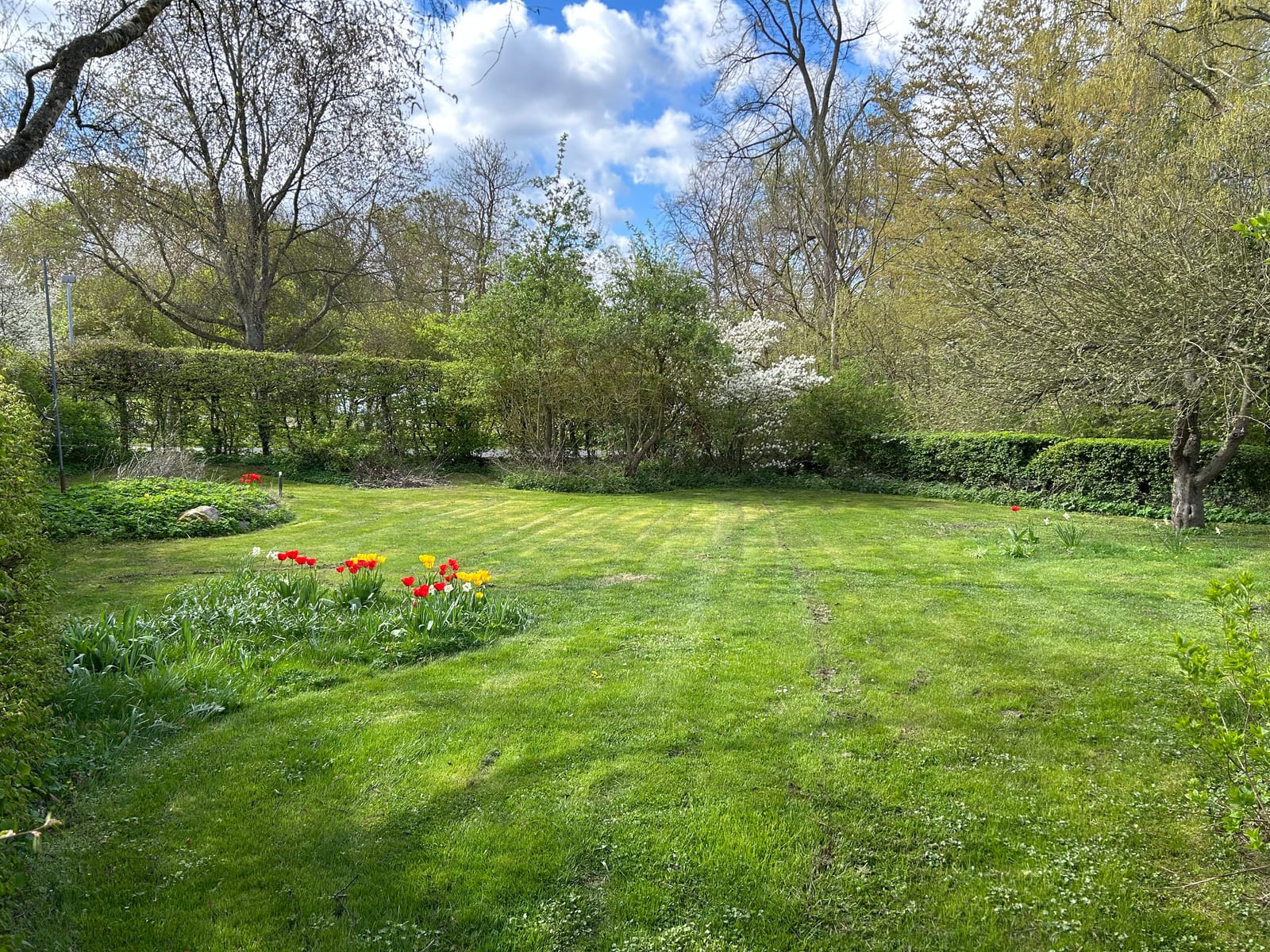 1 rok · 12 m² i Alnarp – bild 3