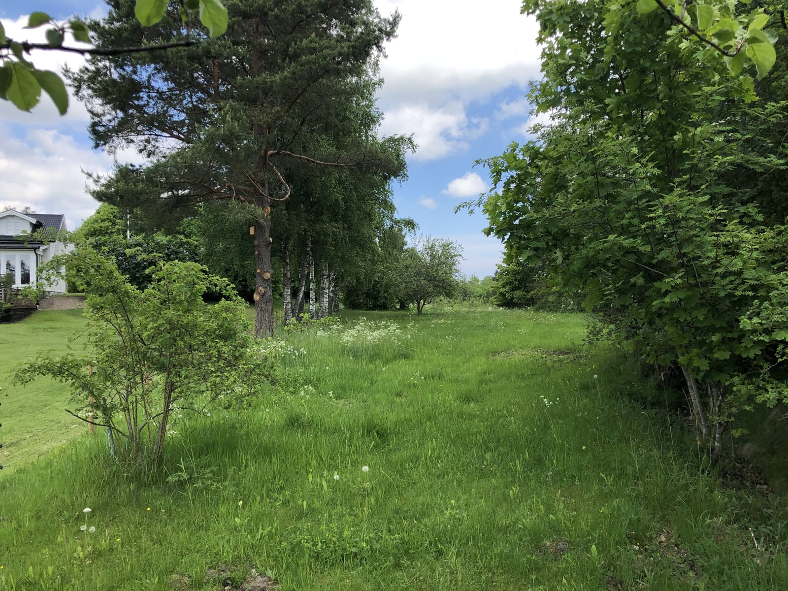 2 rok · 40 m² i Väddö – bild 5