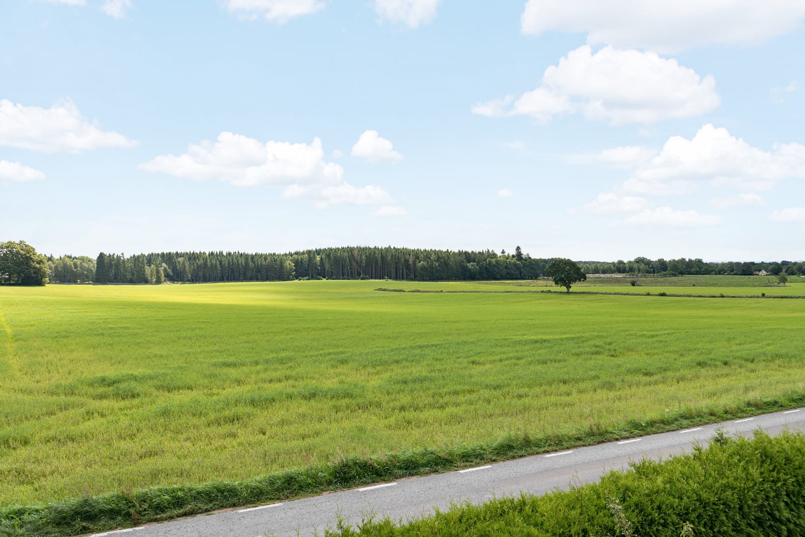 5 rok · 180 m² i Brösarp – bild 7