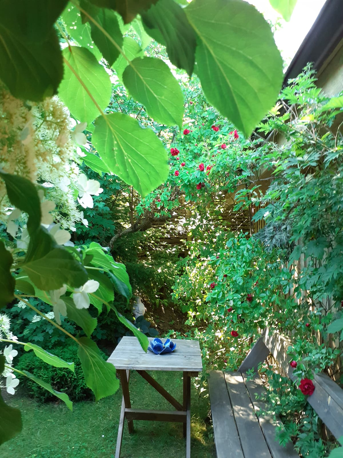 1 rok · 44 m² i Adelsö – bild 15