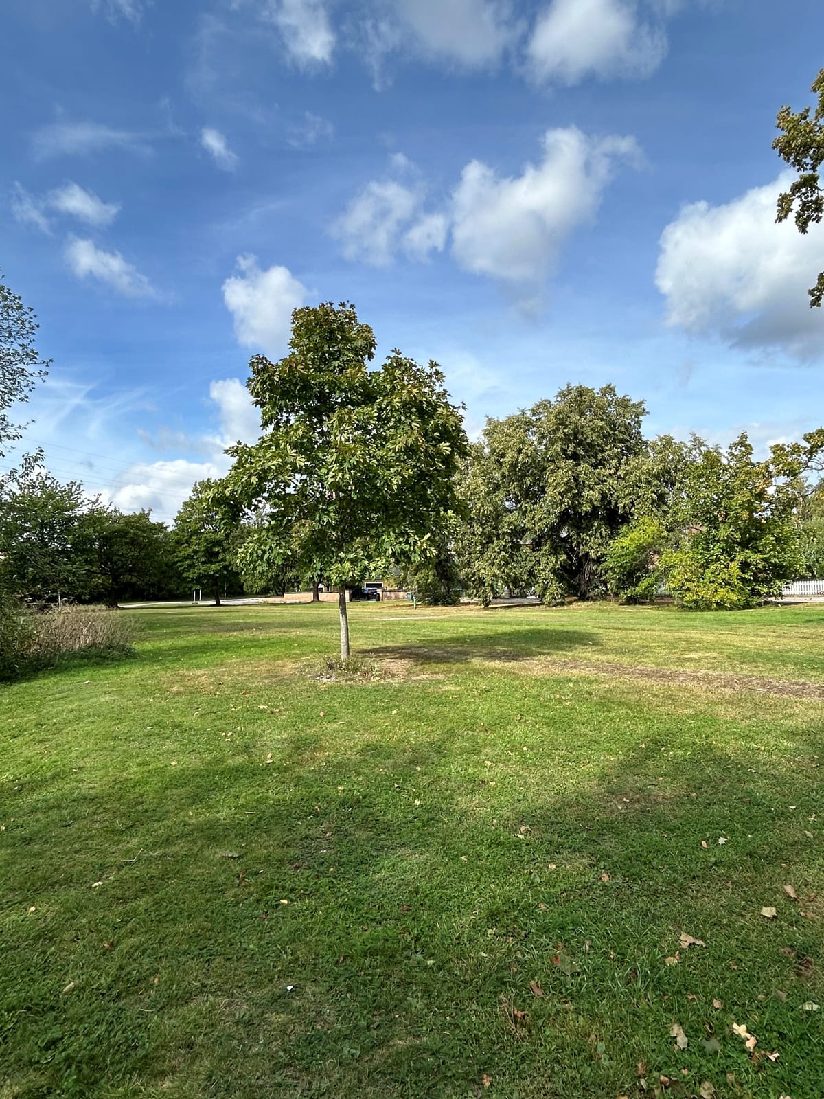 3 rok · 69 m² i Västerås – bild 2