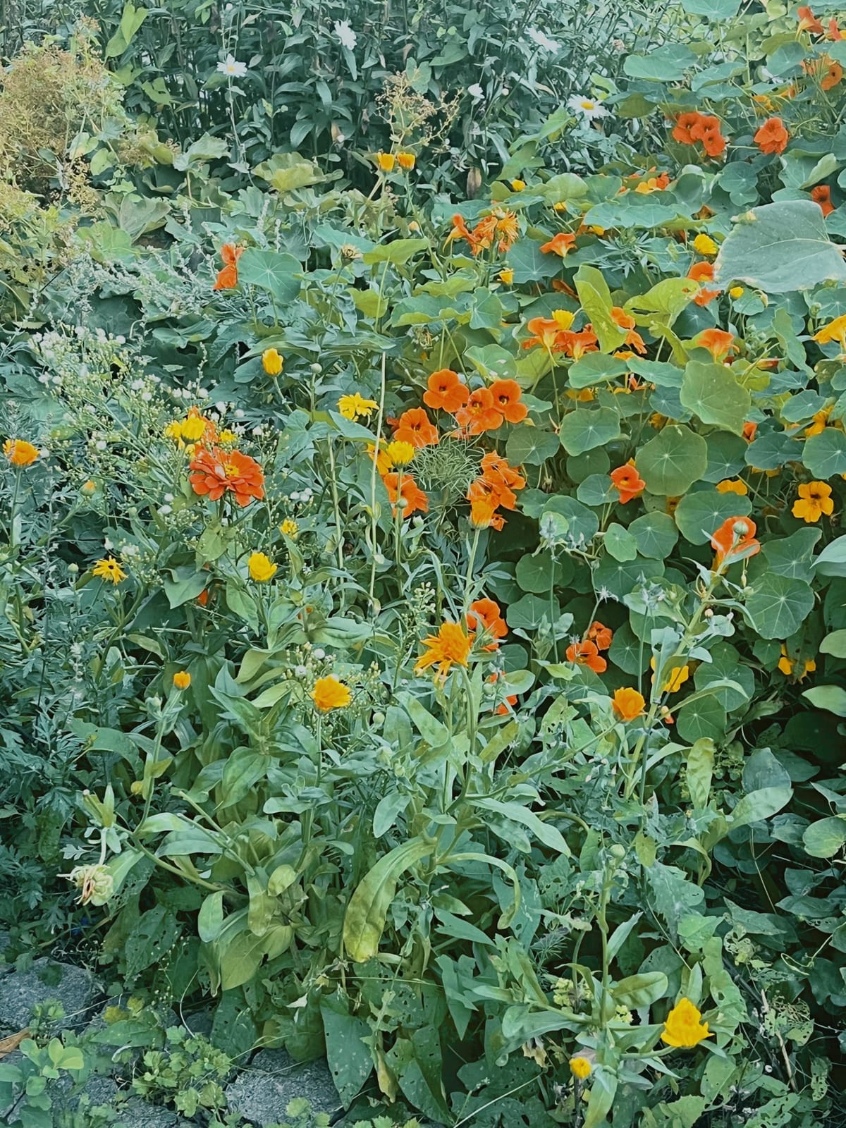 2 rok · 10 m² i Örebro – bild 15