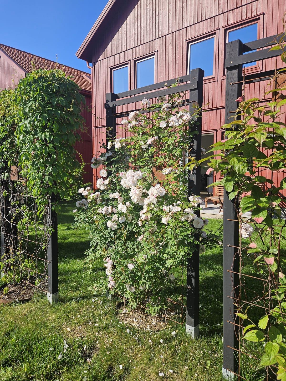 5 rok · 139 m² i Enköping – bild 6