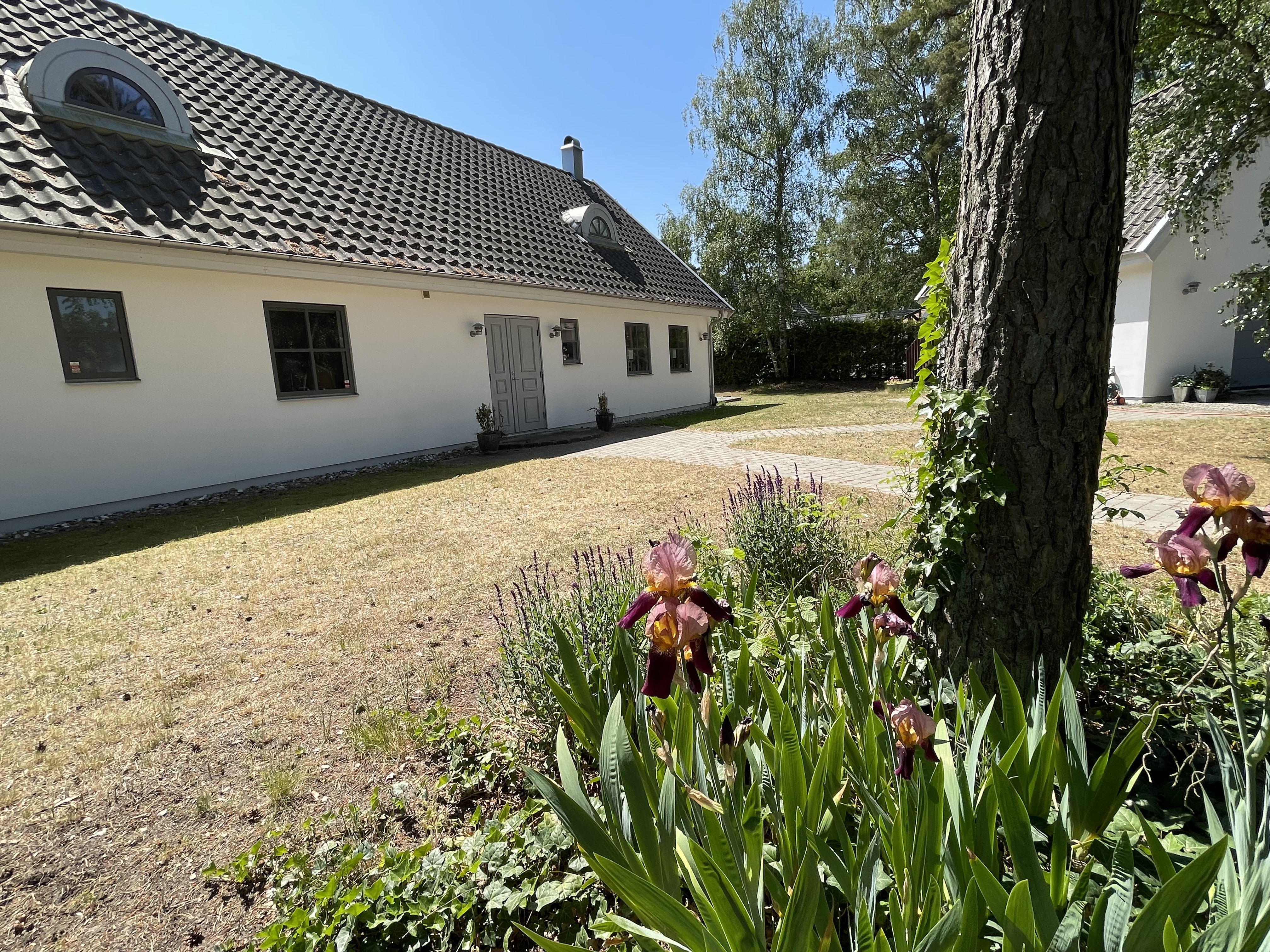 Villa/Hus, 6 rooms, 190 sqm, Löddeköpinge – bild 2