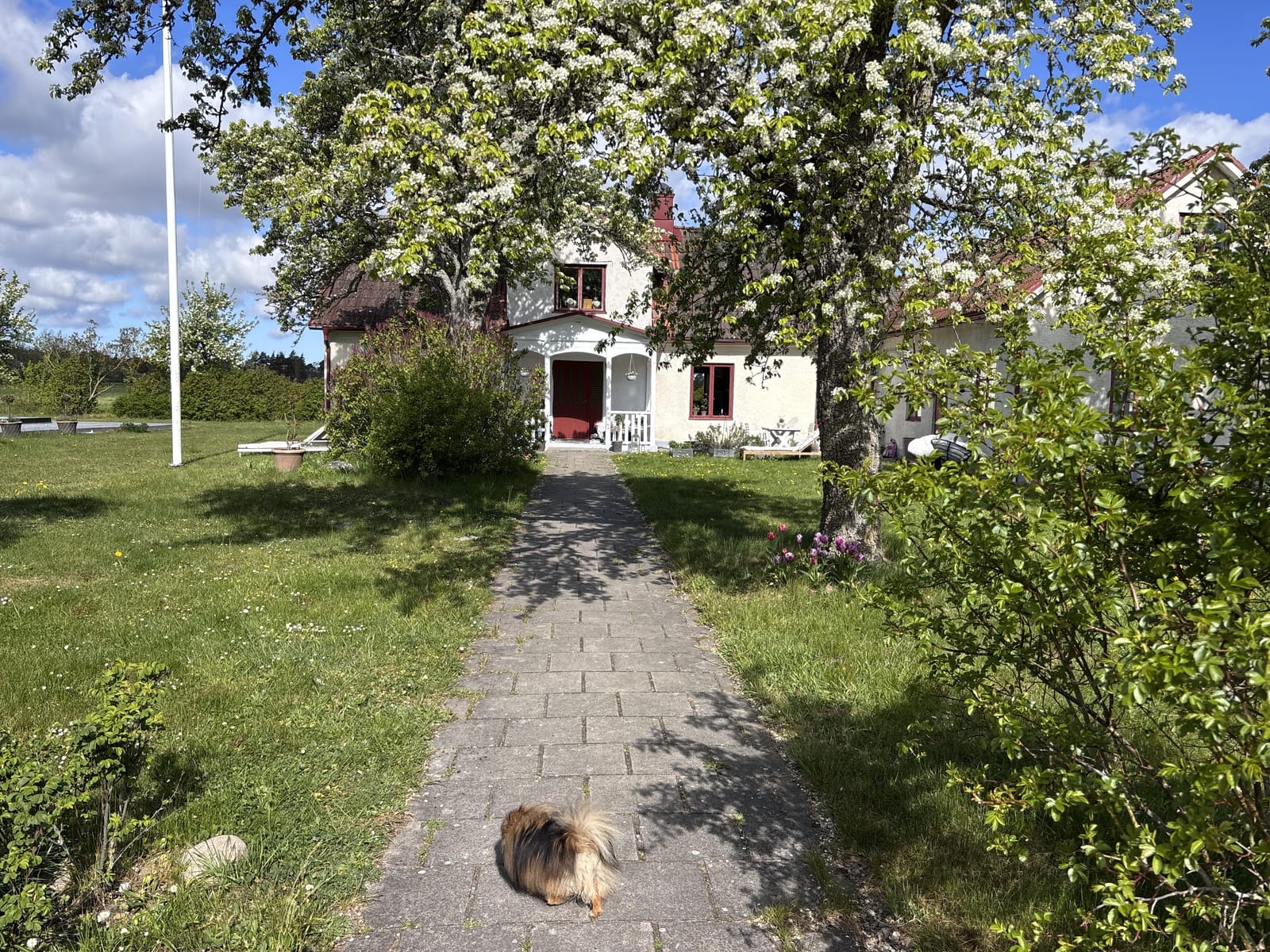 7 rok · 150 m² i Visby – bild 13