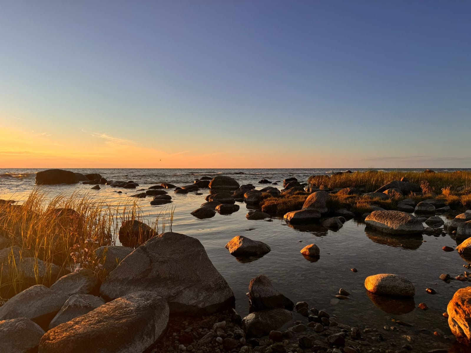 3 rok · 100 m² i Visby – bild 16