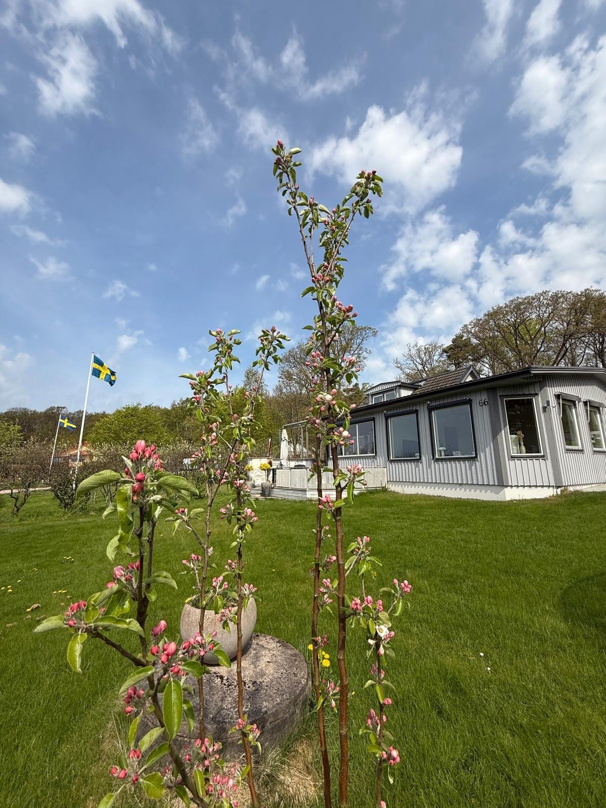 5 rok · 200 m² i Gullbrandstorp – bild 7