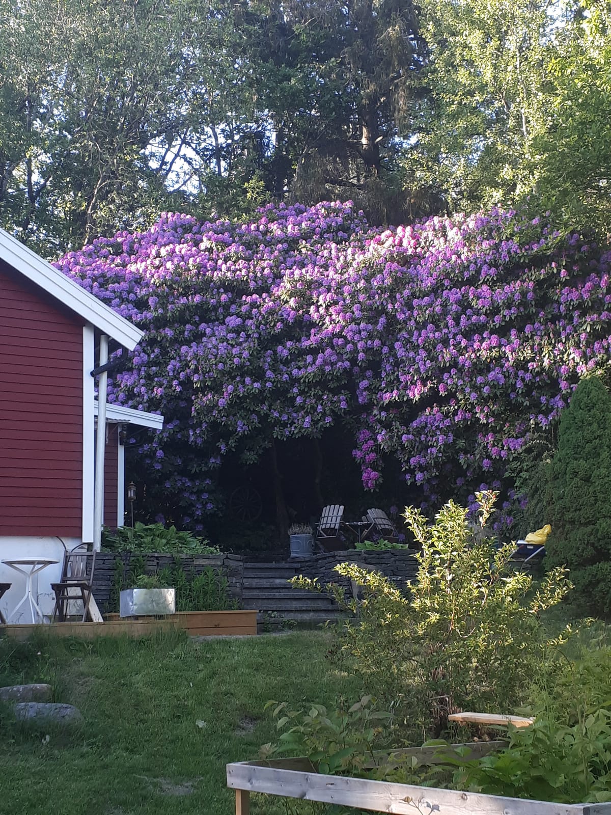 3 rok · 48 m² i Ödsmål – bild 14