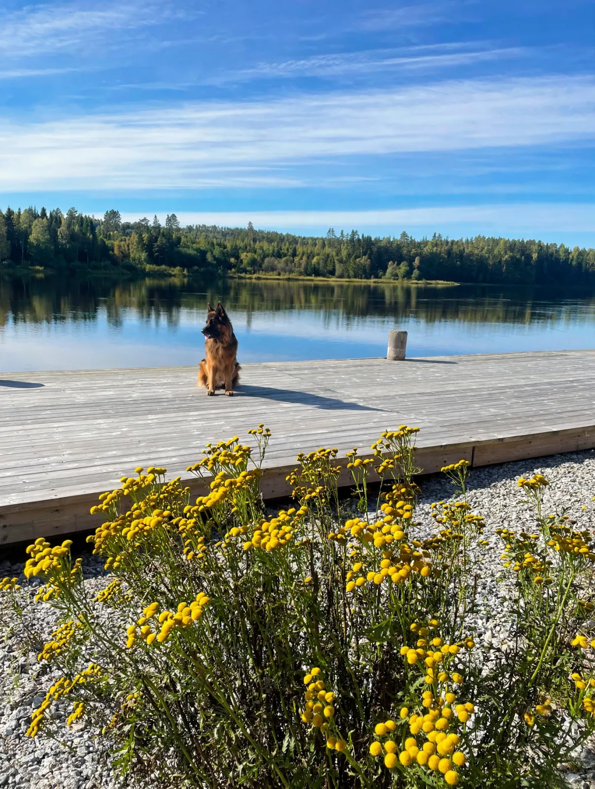 4 rok · 90 m² i Sollefteå – bild 10