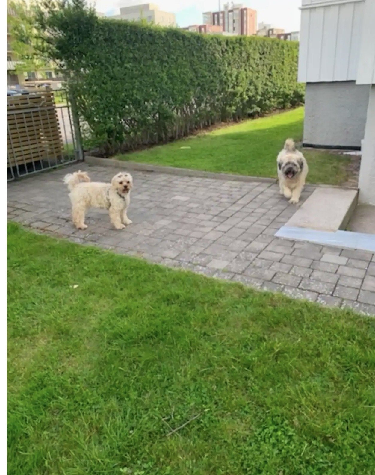 4 rok · 150 m² i Mölndal – bild 10