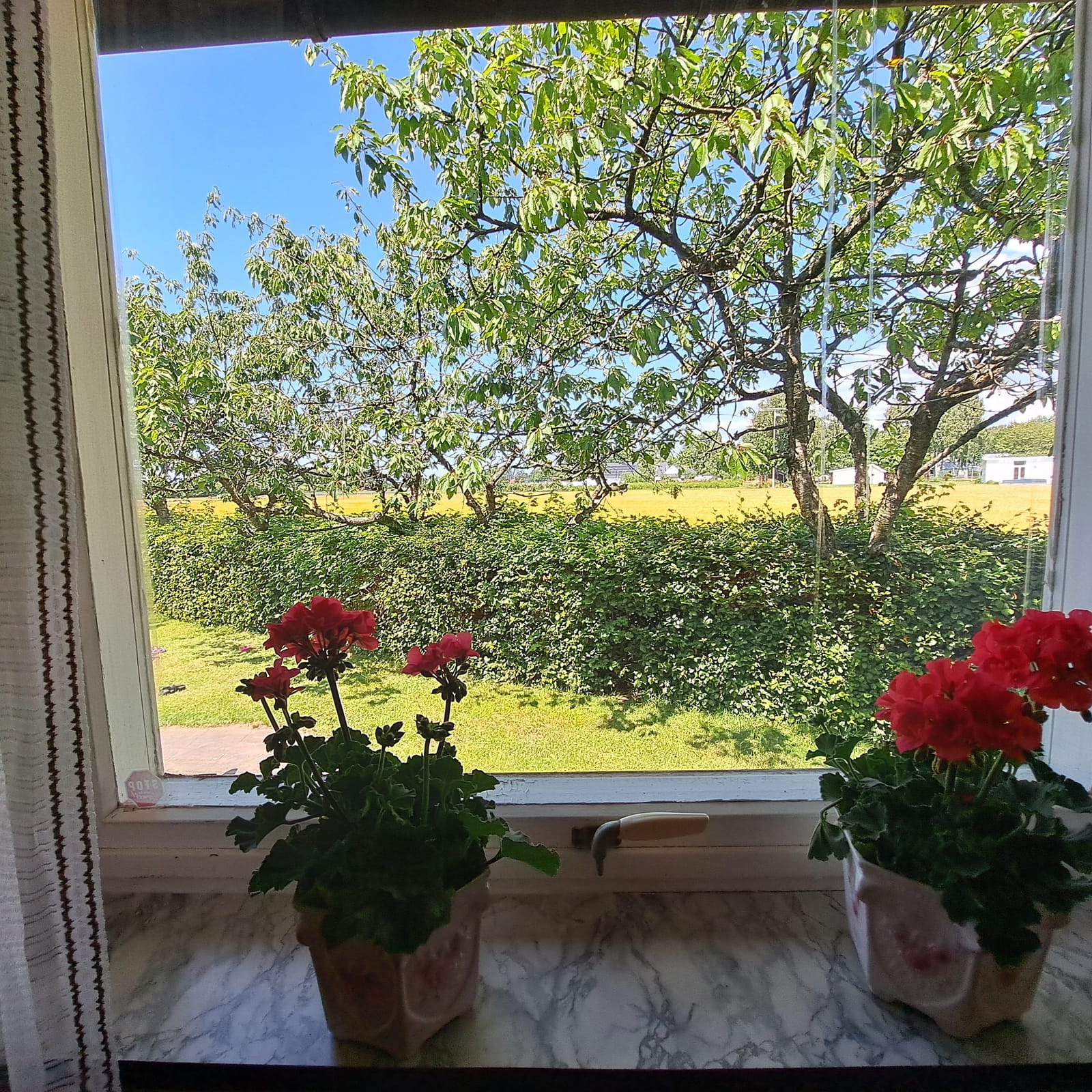 3 rok · 80 m² i Våxtorp – bild 24
