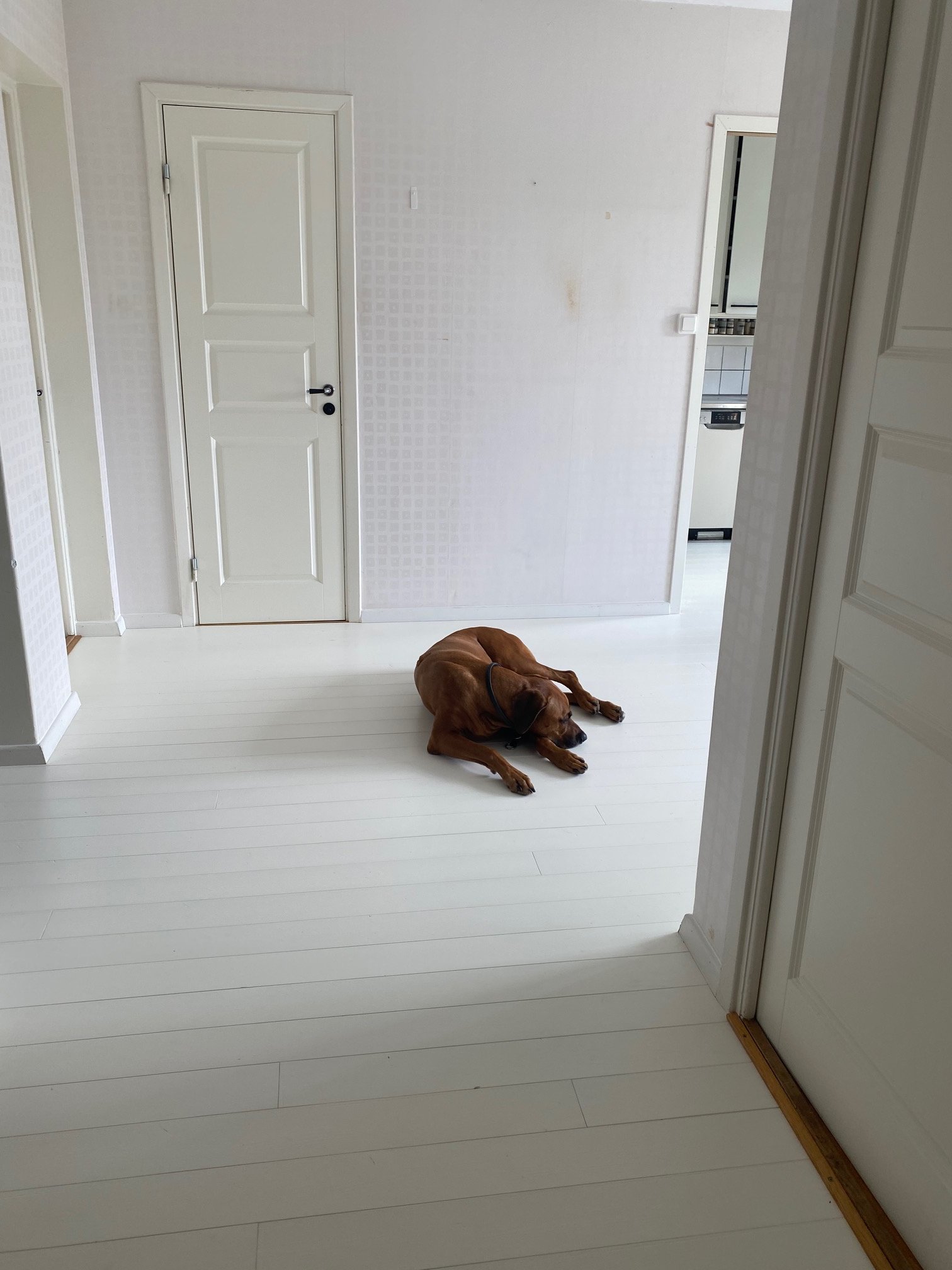 3 rok · 74 m² i Visby – bild 9