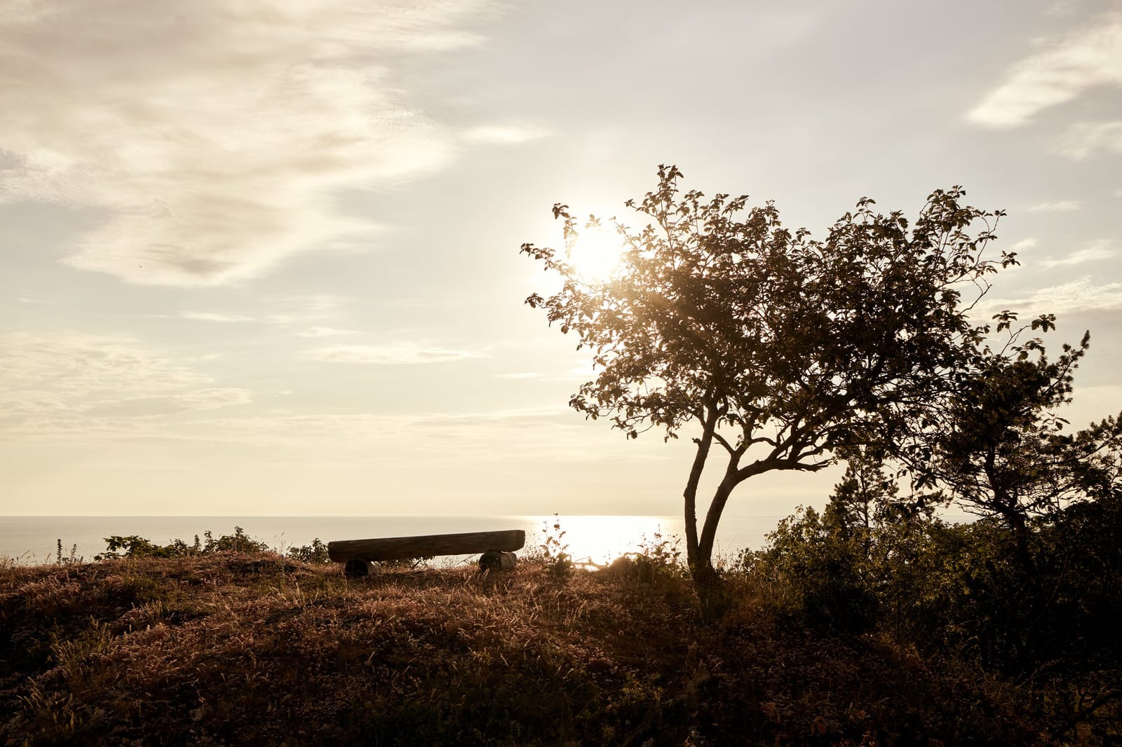 4 rok · 50 m² i Visby – bild 3