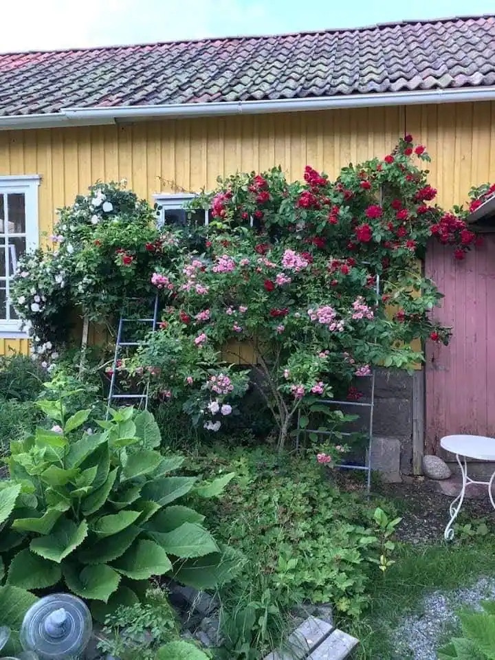 Lägenhet, 3 rooms, 75 sqm, Fjällbacka – bild 25