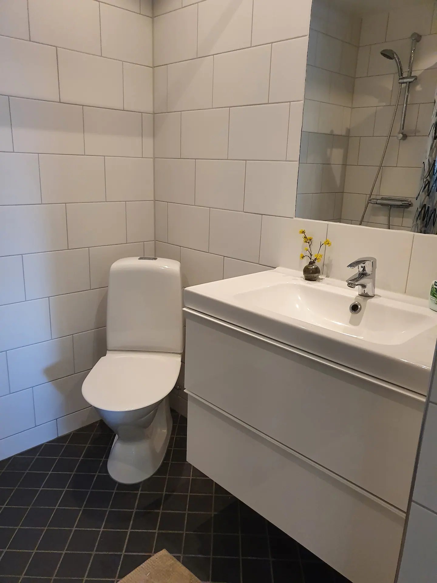 Övrigt, 1 rooms, 10 sqm, Svalöv – bild 4
