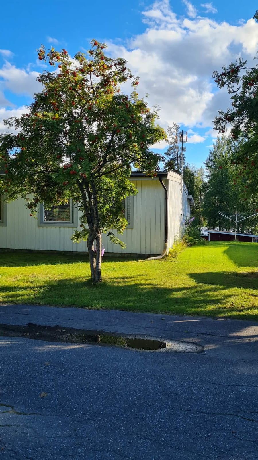 5 rok · 111 m² i Boden – bild 5