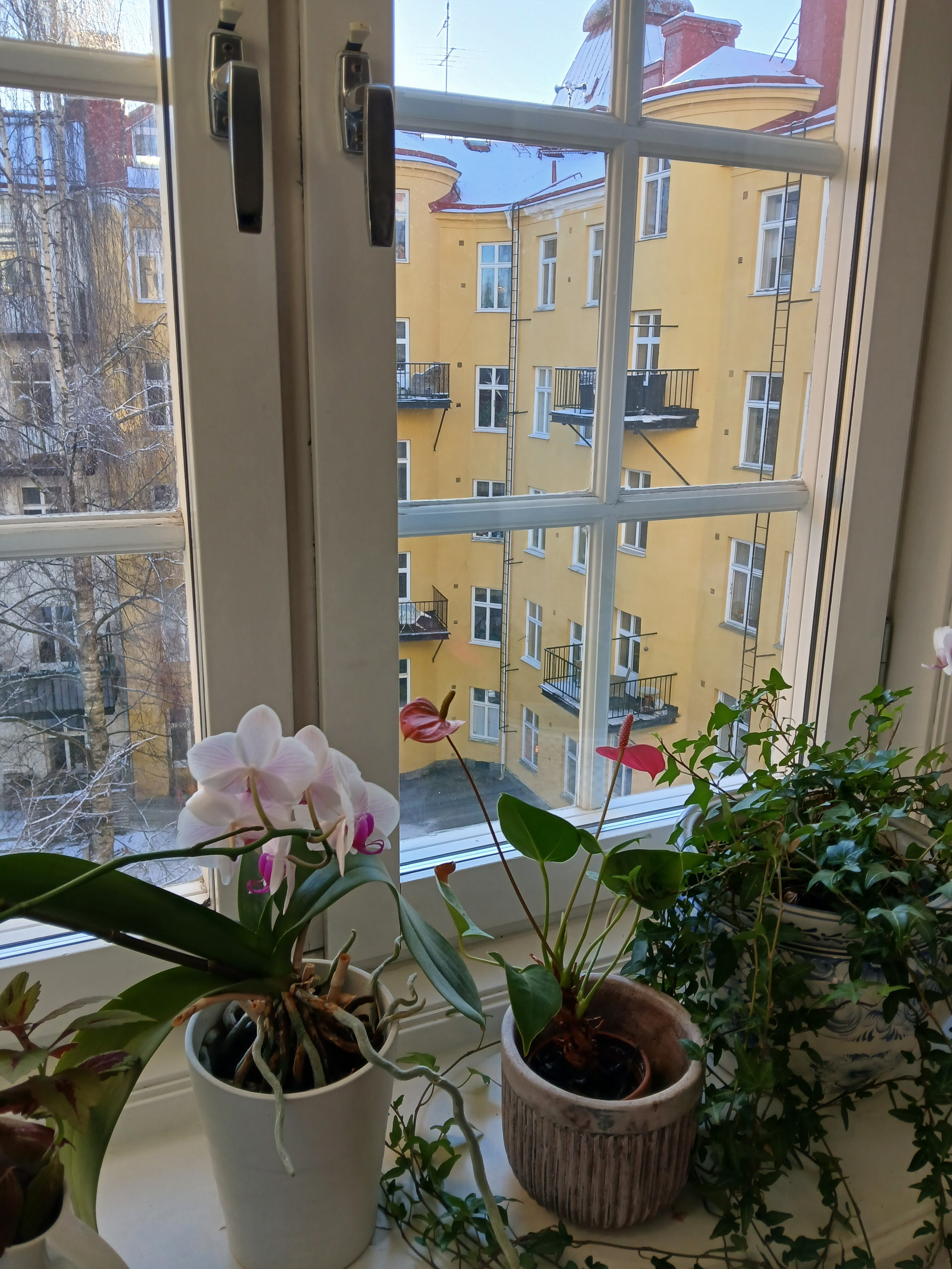 Lägenhet, 1 rooms, 12 sqm, Solna – bild 5