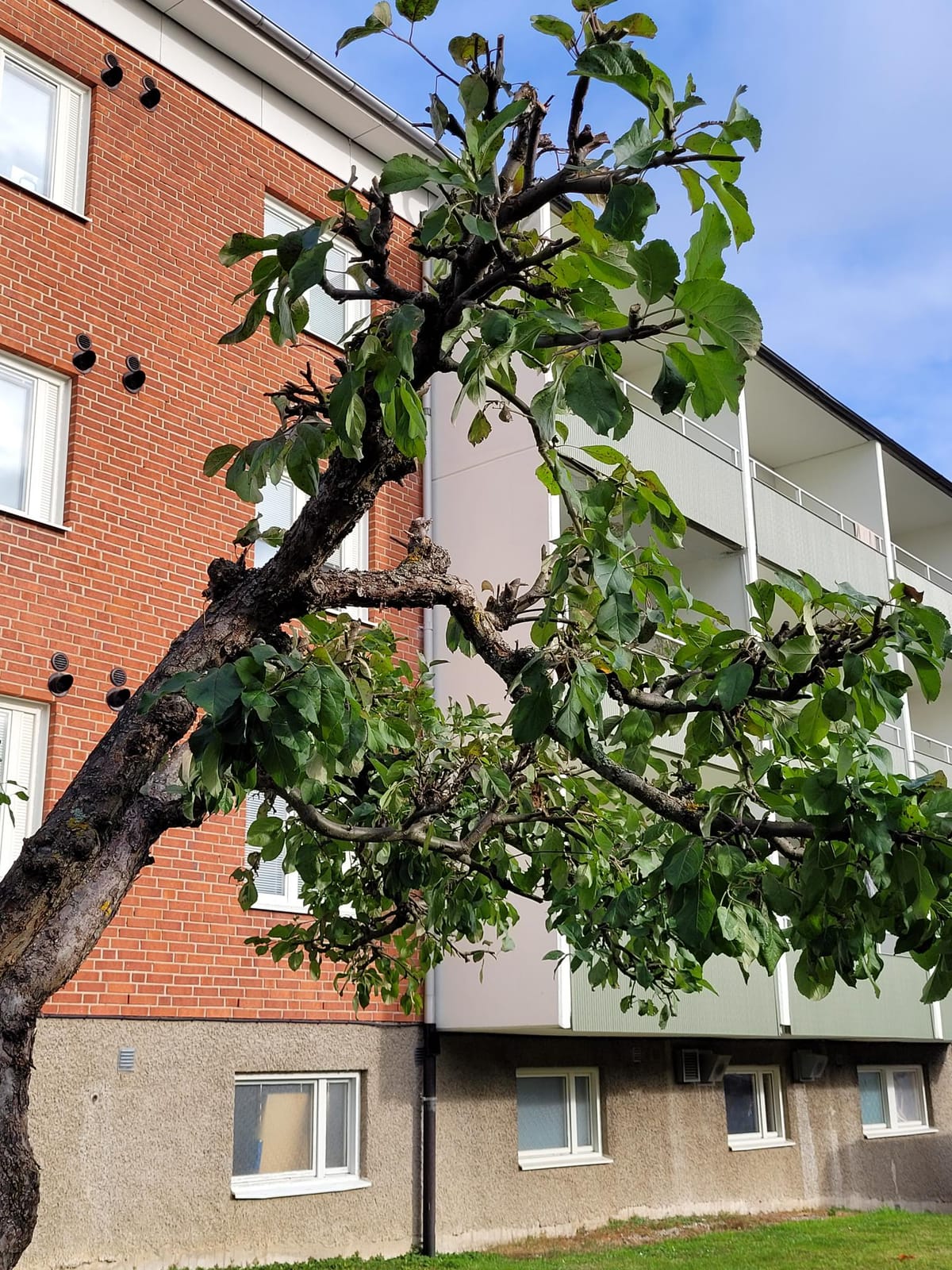 3 rok · 77 m² i Vagnhärad – bild 6