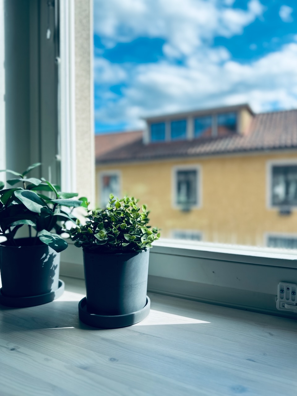 Lägenhet, 1 rooms, 18 sqm, Öregrund – bild 19