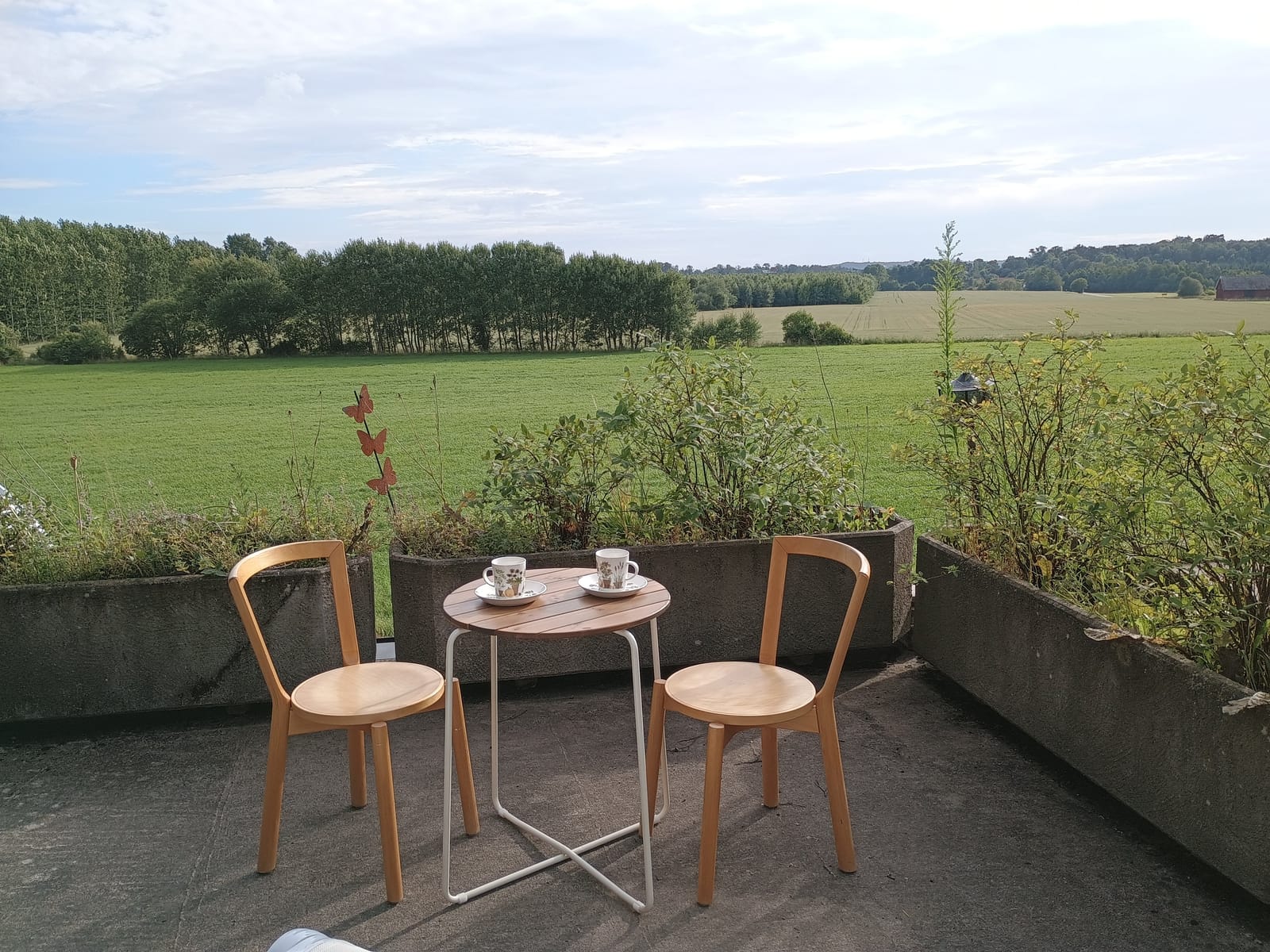 Stuga, 1 rooms, 25 sqm, Åled