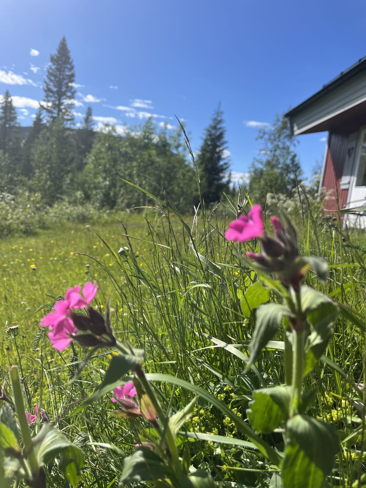 2 rok · 51 m² i Vemdalen – bild 6
