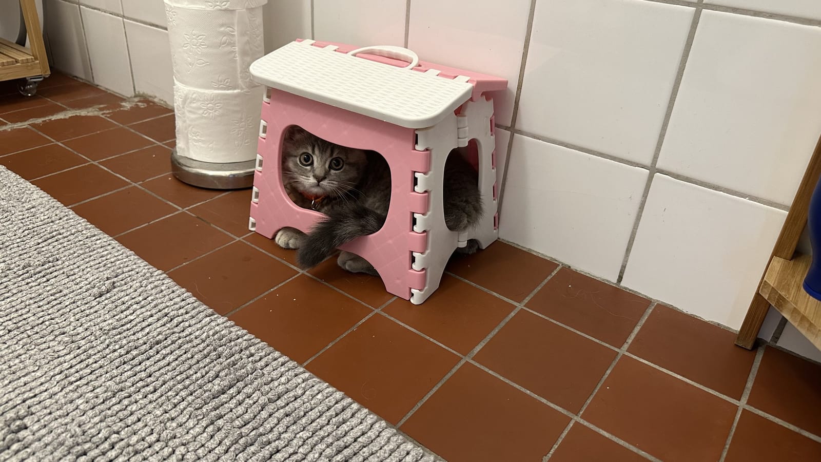 1 rok · 25 m² i Västra Frölunda – bild 8