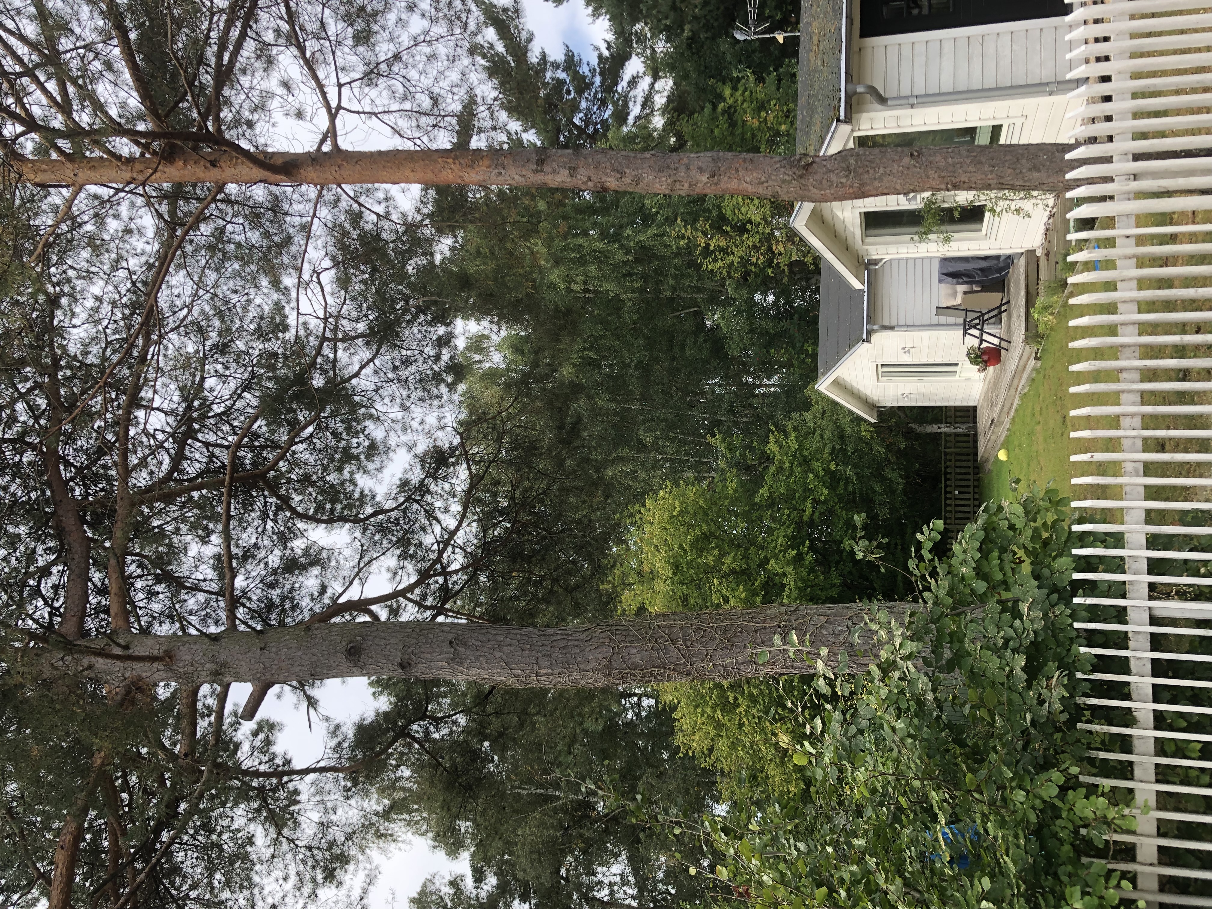 Stuga, 4 rooms, 85 sqm, Höllviken – bild 4