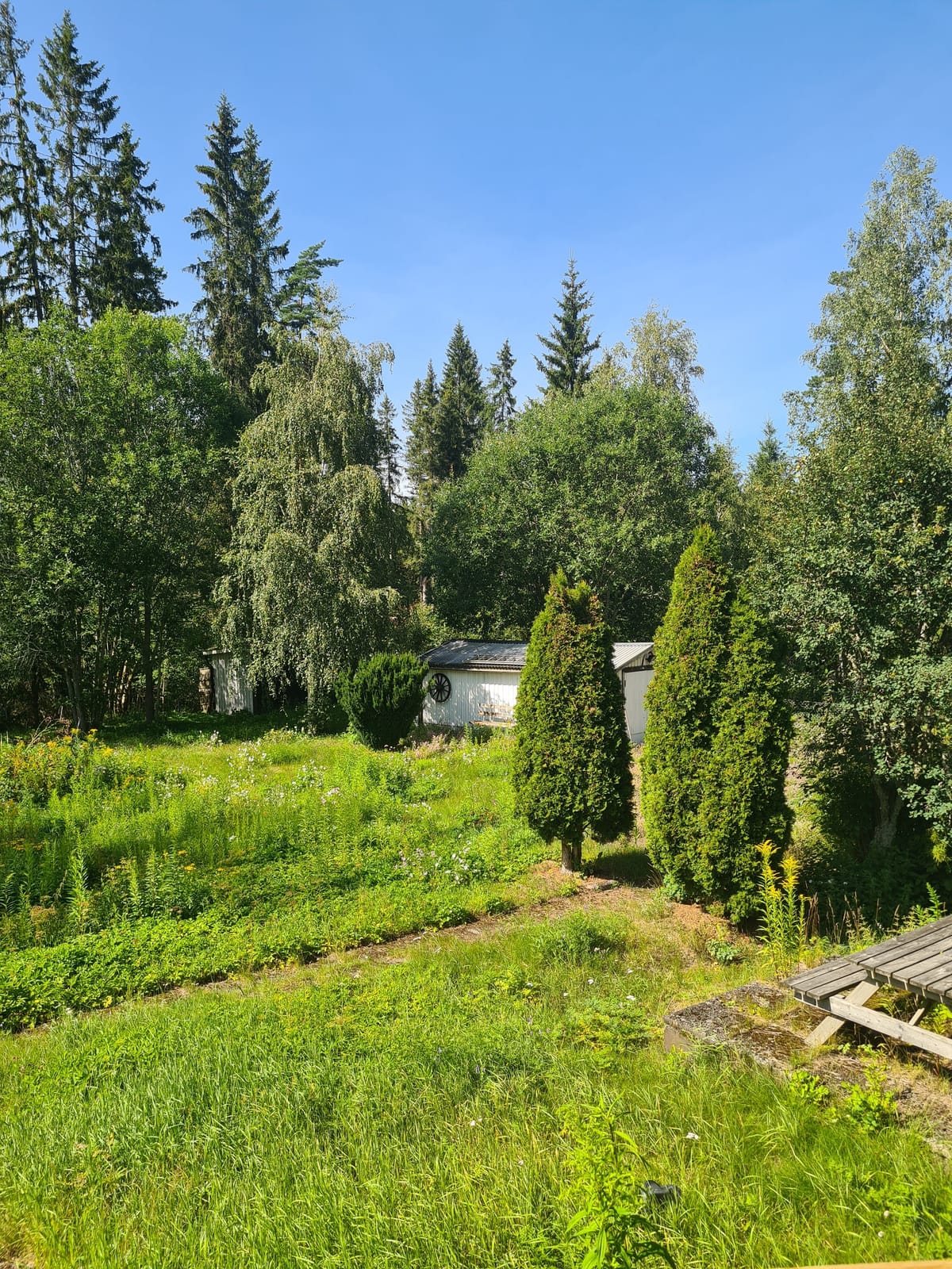 3 rok · 56 m² i Virserum – bild 20