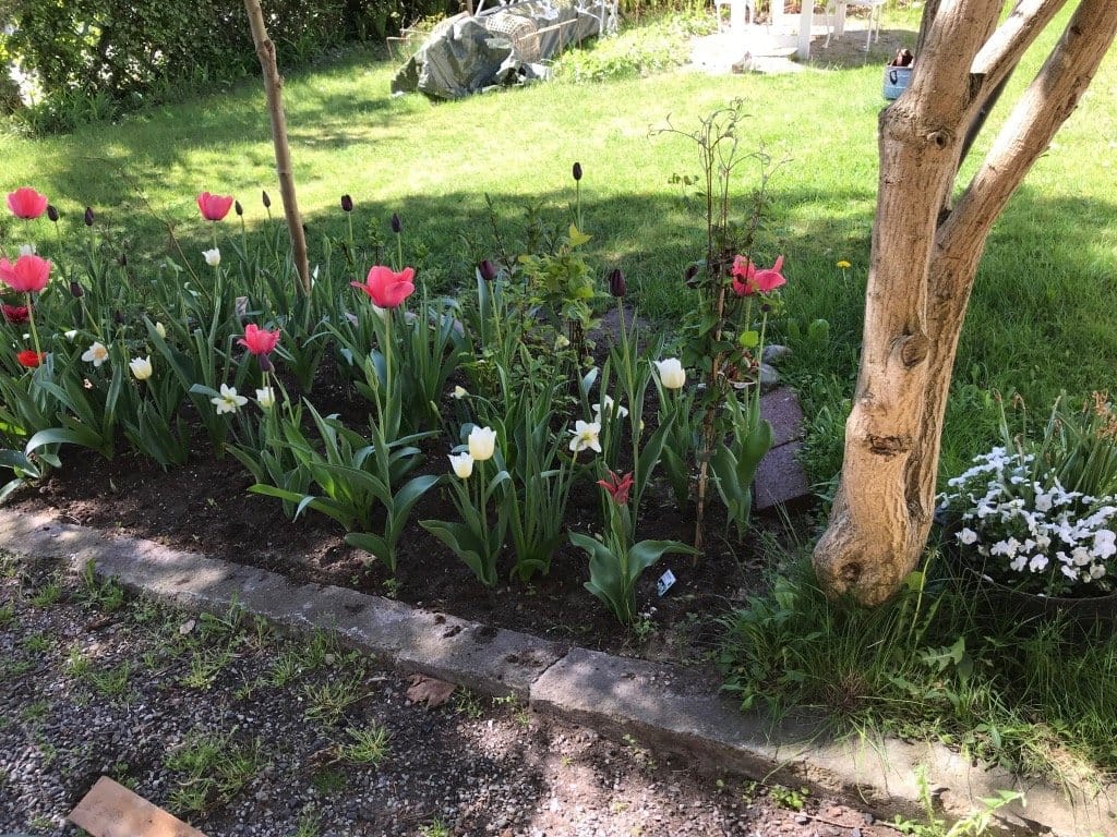 4 rok · 80 m² i Båstad – bild 18