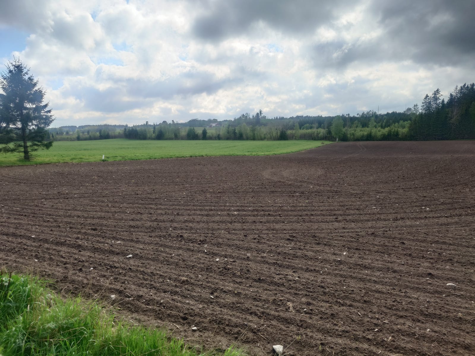 3 rok · 50 m² i Högsäter – bild 5