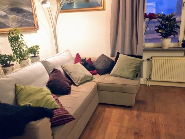 1 rok · 40 m² i Helsingborg – bild 8