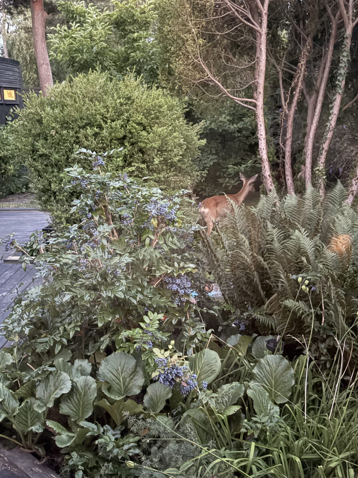 9 rok · 180 m² i Höllviken – bild 8