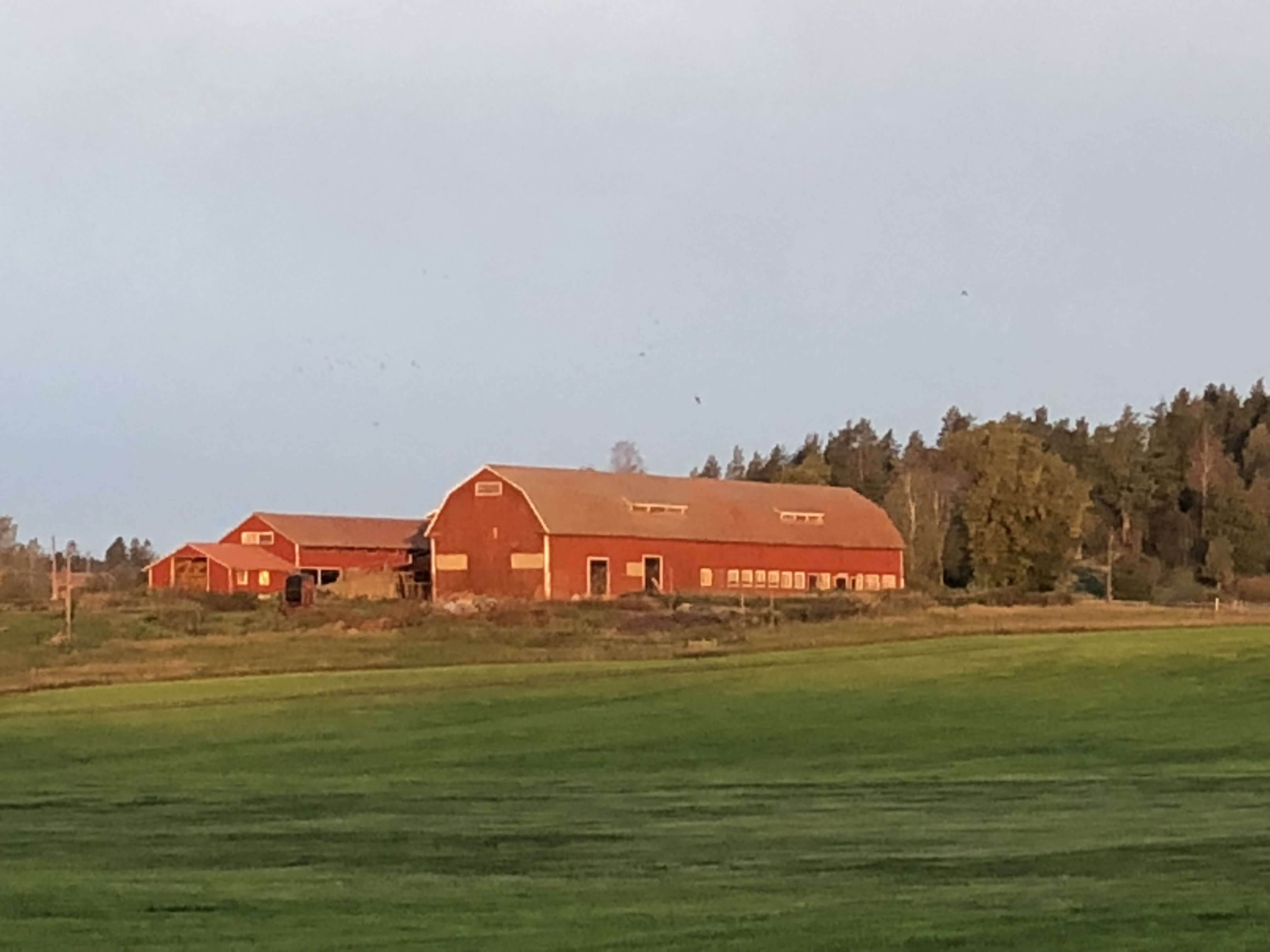 Lägenhet, 3 rooms, 80 sqm, Gamleby – Gamleby