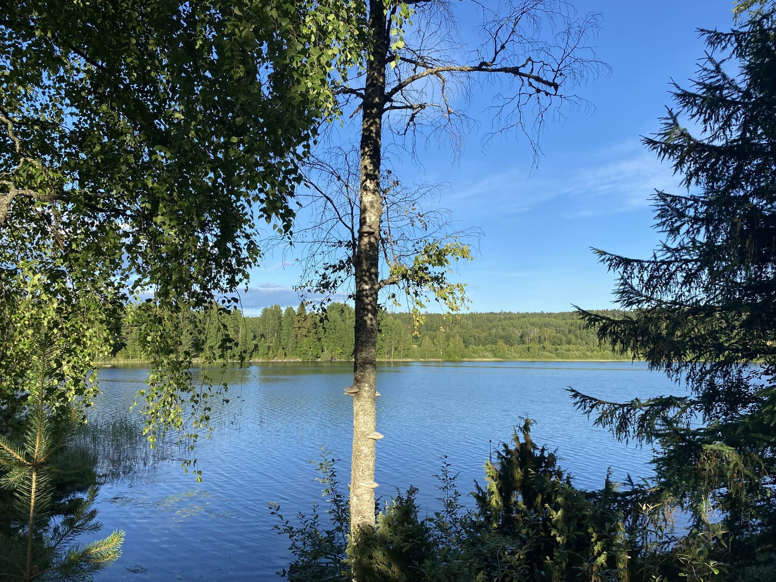 3 rok · 60 m² i Nora – bild 24