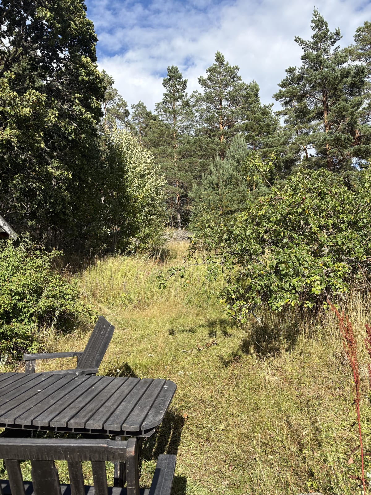 4 rok · 60 m² i Björnlunda – bild 6
