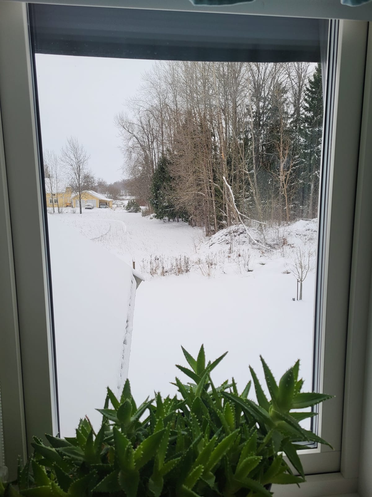 2 rok · 22 m² i Örebro – bild 5