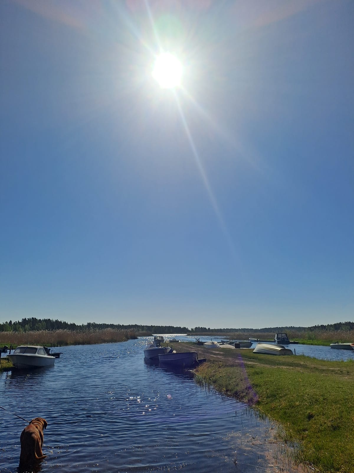 3 rok · 35 m² i Hammarö – bild 23