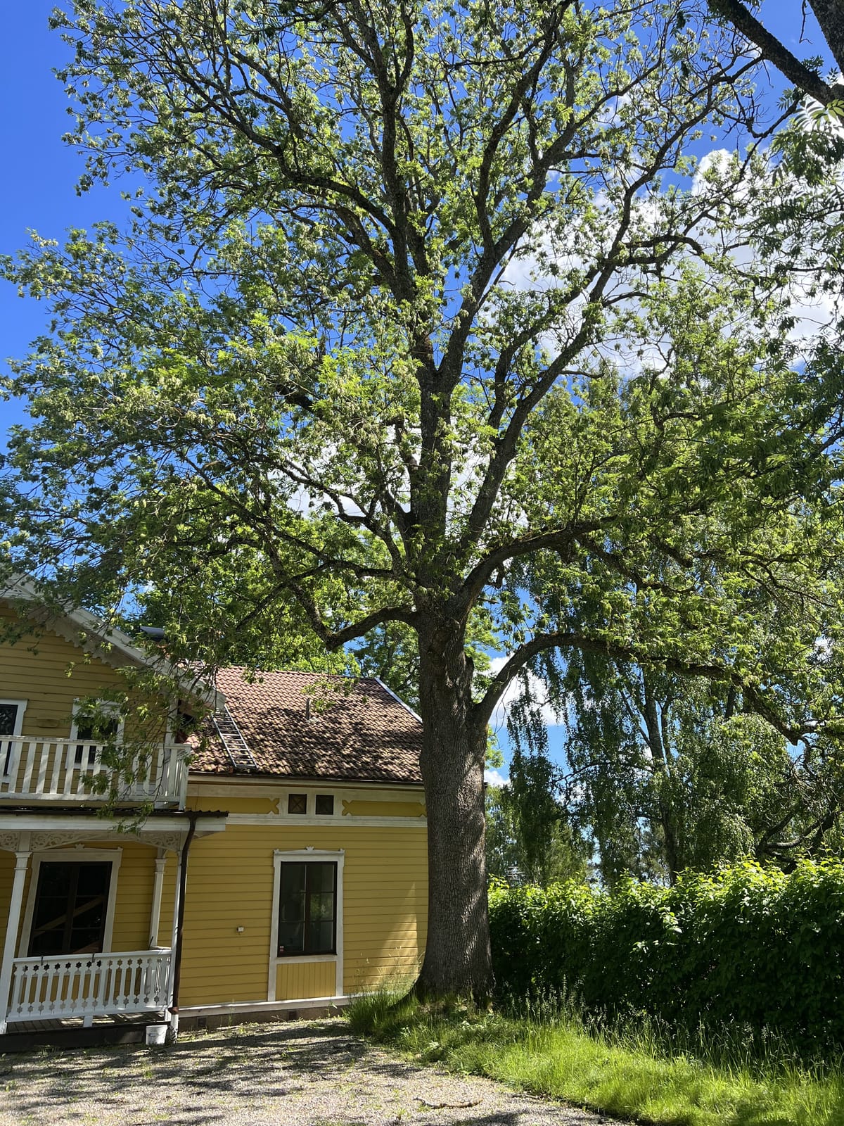 9 rok · 400 m² i Sörmland – bild 15