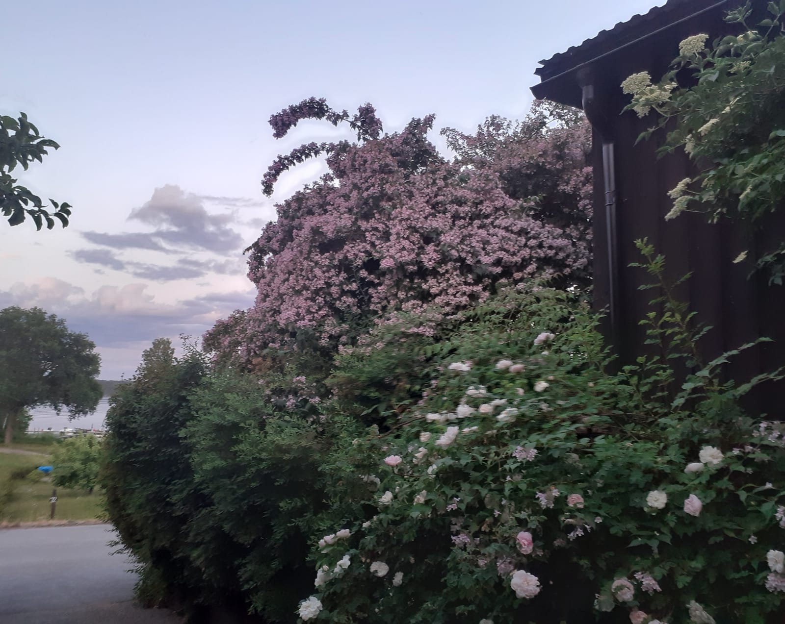 1 rok · 44 m² i Adelsö – bild 18