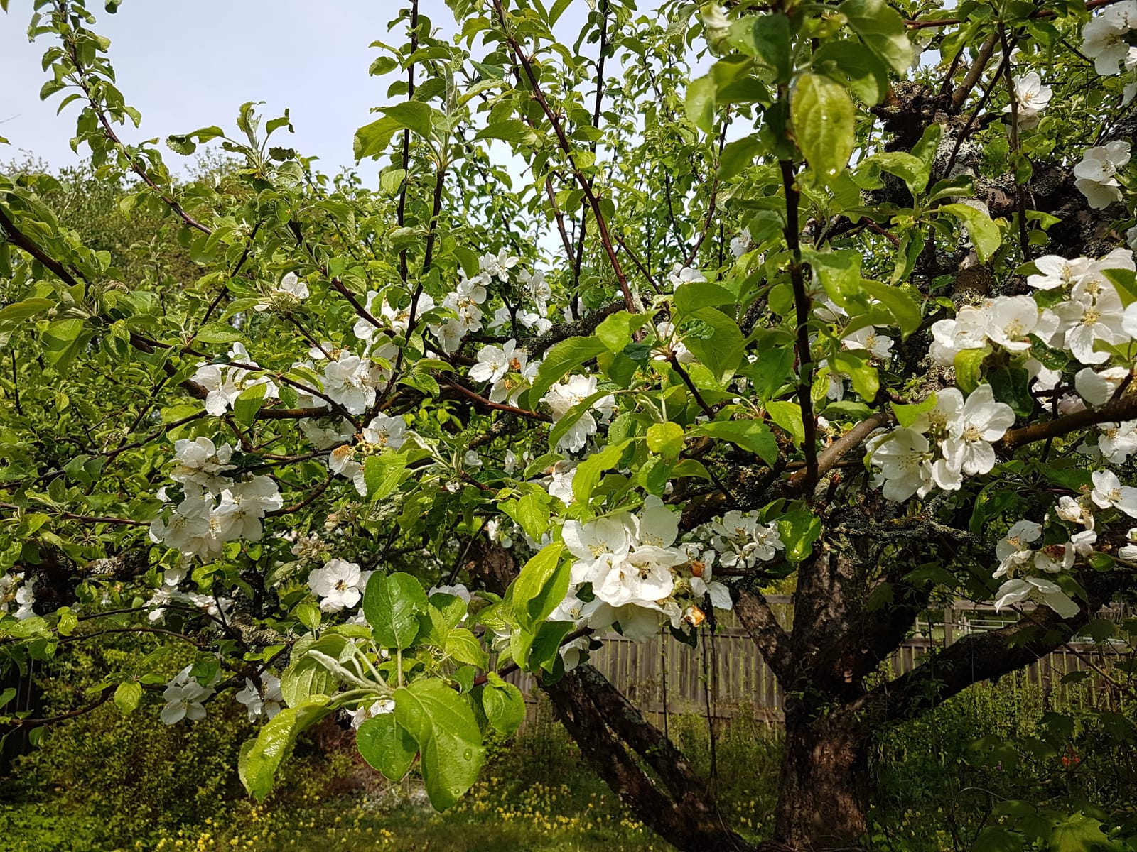 6 rok · 149 m² i Linköping – bild 5
