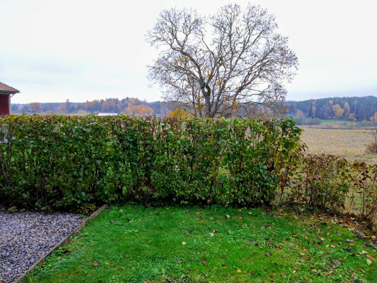 2 rok · 47 m² i Björnlunda – bild 16