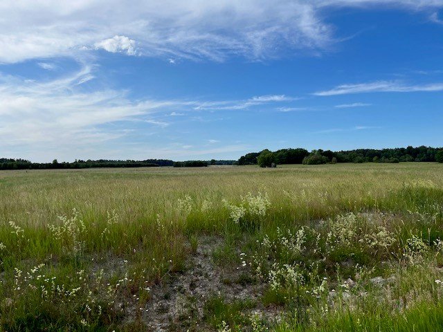 5 rok · 86 m² i Norrtälje – bild 18