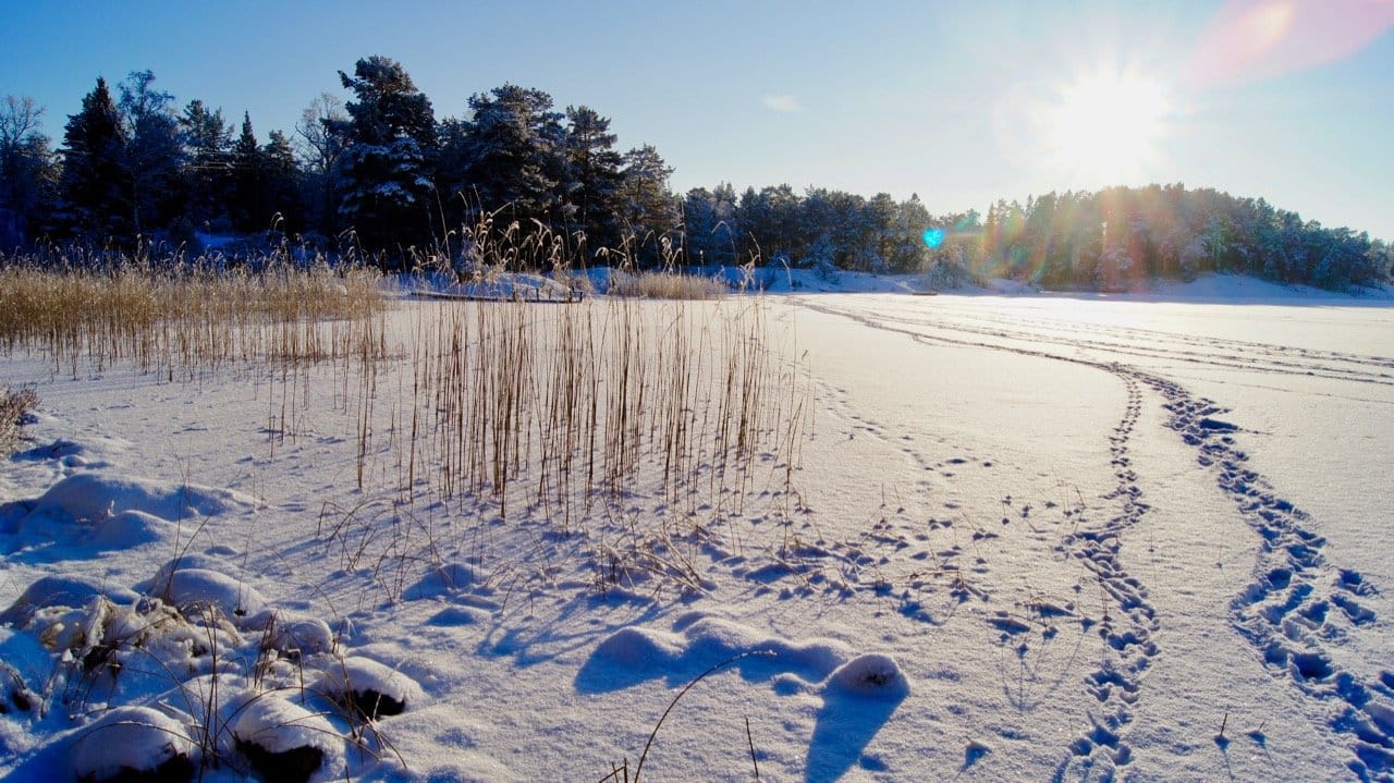2 rok · 34 m² i Värmdö – bild 14
