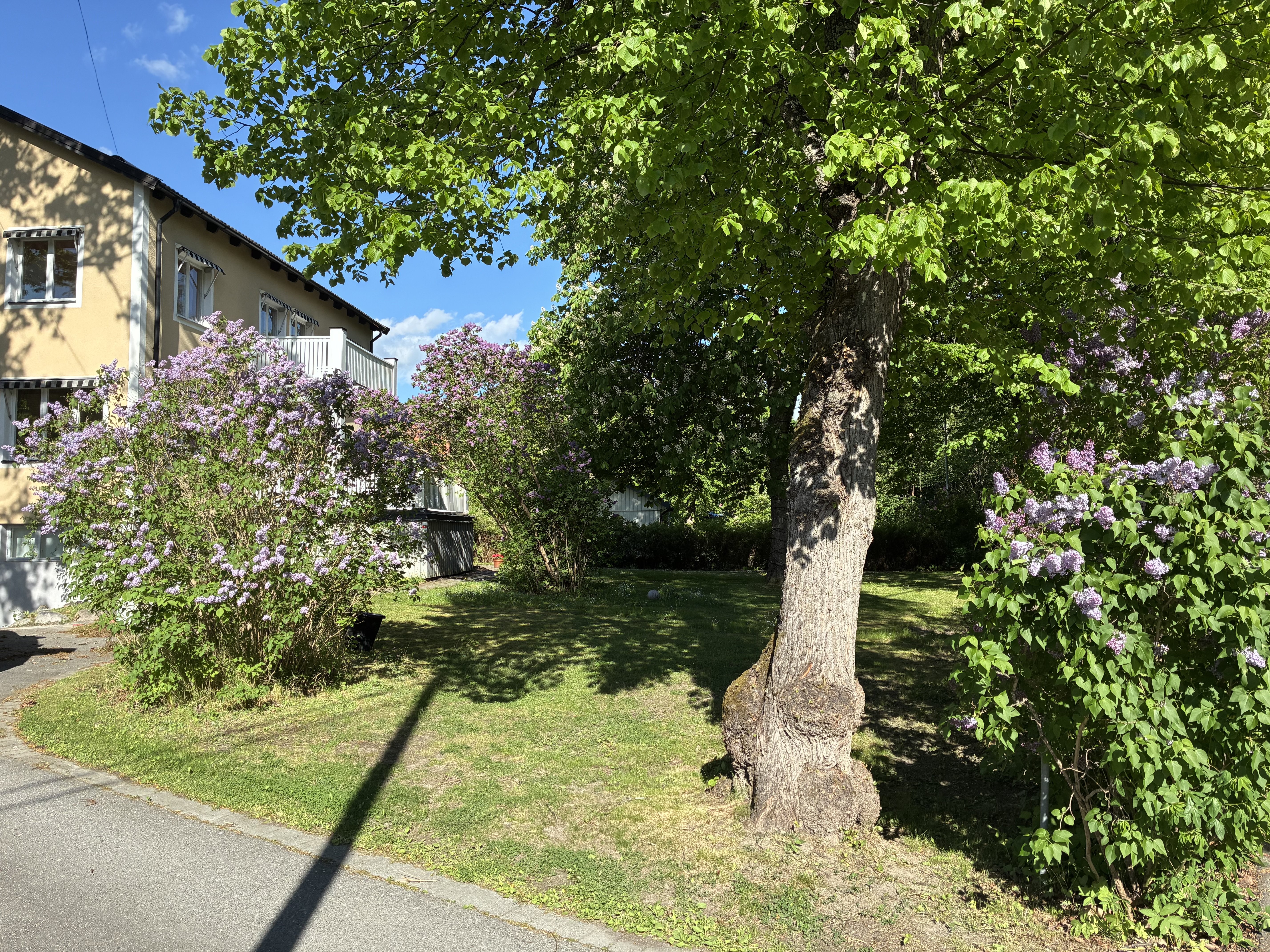 Villa/Hus, 11 rooms, 300 sqm, Danderyd – bild 2