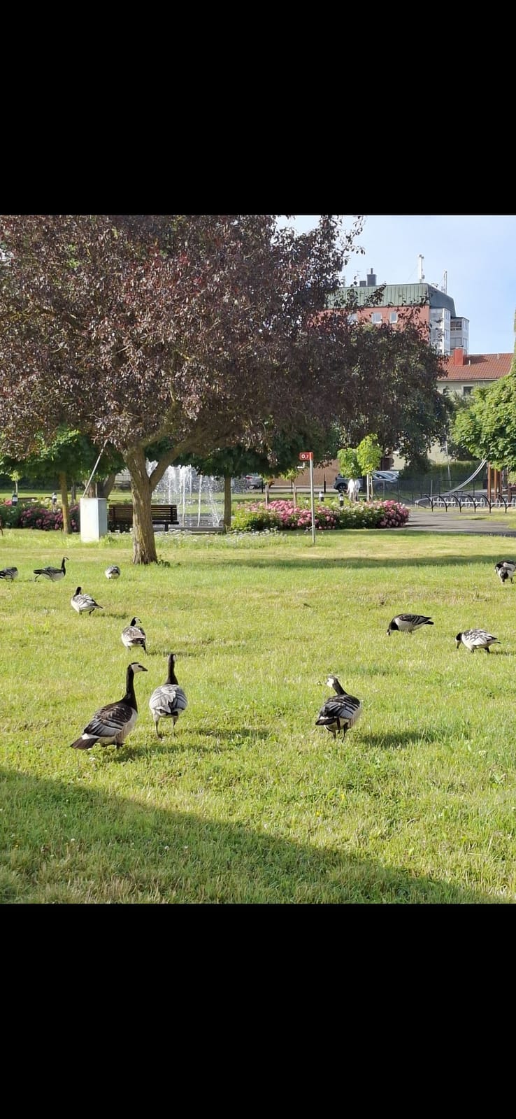 1 rok · 20 m² i Huddinge – bild 9